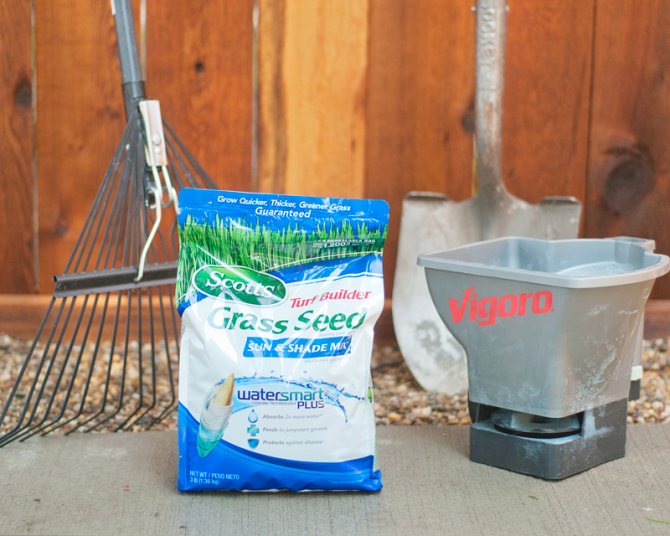 planting grass seed tools